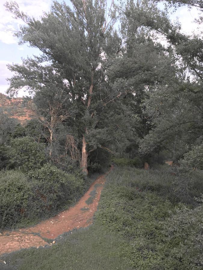 La Casa De La Acacia Διαμέρισμα Olba Εξωτερικό φωτογραφία